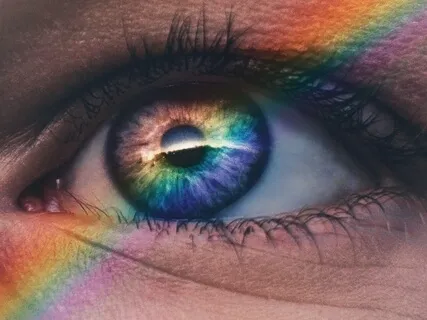 Investigating The Self