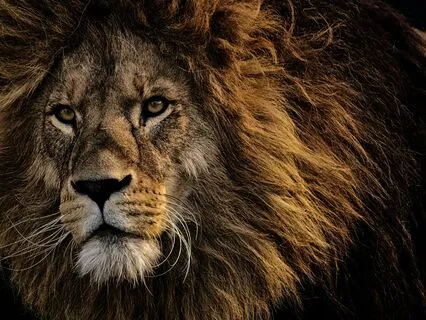 Unconquerable (Powerful Poetry)