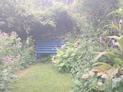 Invitation To Awaken At Imbolc Yoga Nidra