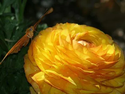 Invitation To Breathe