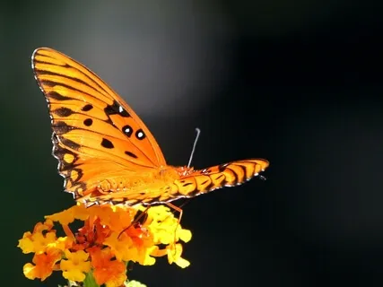 Invitation To Change