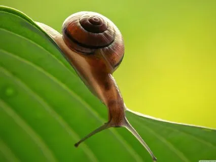 Invitation To Slow Down: Finding Calm And Clarity