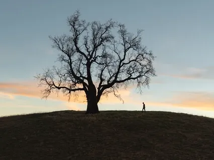 Invitation To Stillness