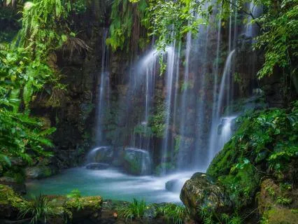 Invite Blessings 432, 528, 963 Hz Tuning Forks (Waterfall)