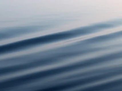 Invite Calm To The Freak Out Party