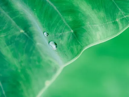 Invite Peace & Calmness