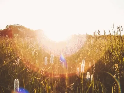 Inviting In Abundance And Gratitude