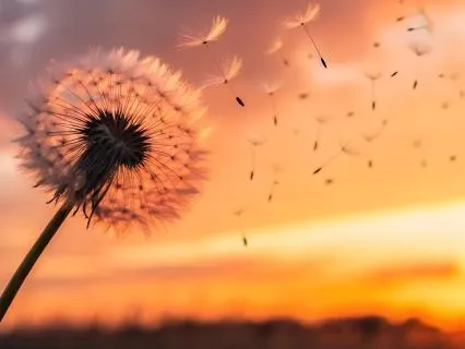 Inviting Prosperity in 2026! Tuning Forks + Delta Waves