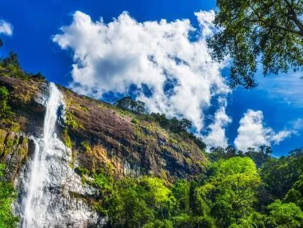 Inviting Prosperity With Tuning Forks For Abundance (Theta)