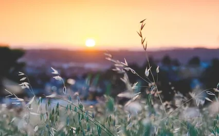 Inviting Resurrection