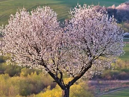 Inviting Self-Worth And Love: A Soothing Meditation