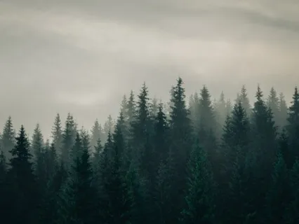 Inviting The New Year