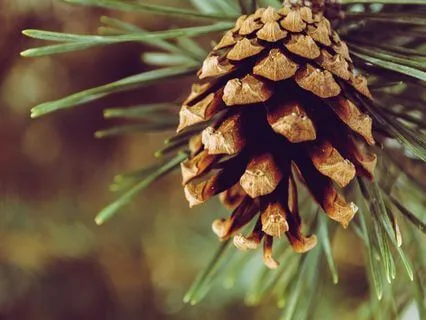 Inviting The Sacred In - Dec 06