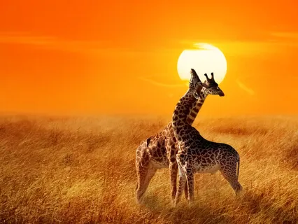 Invocation Of Orishas, Ancestors, Spirits & Elements