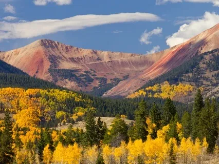 Invoking Earth: A Short Ritual For Grounding & Stability