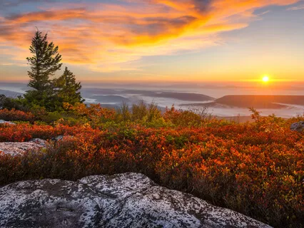 Inward Unity - Sound Journey 