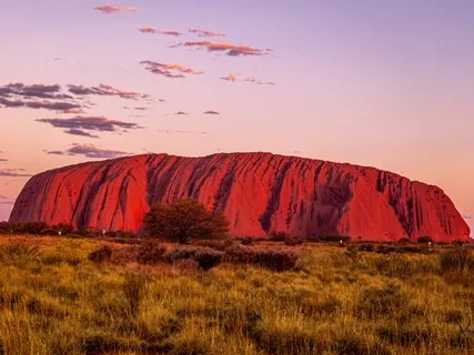 IN~Nidra Base Chakra Guided Meditation