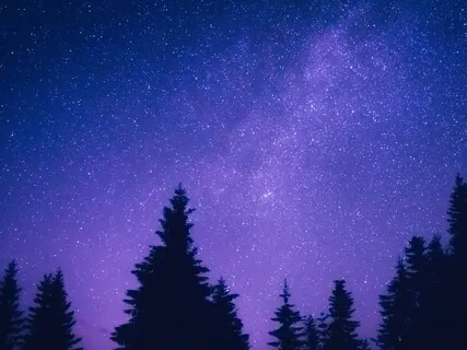 IN~Nidra Breath & Crown Chakra Guided Meditation