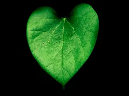 IN~Nidra Heart Chakra Guided Meditation