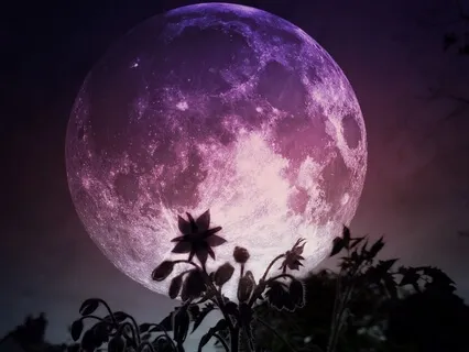 Йога Нидра. Практика Полнолуния, Наполнение Энергией Луны 