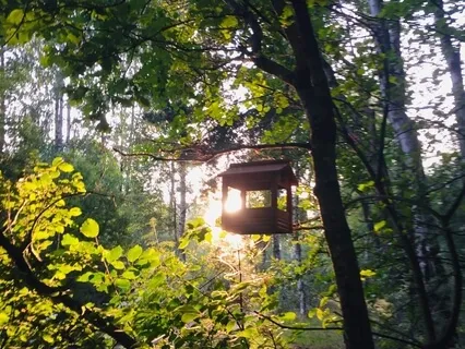 Йога-Нидра "Прогулка Через Лес"