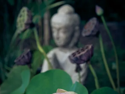 Йога Сутры Патанджали