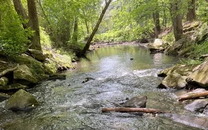 IRest Within A River Of Thought