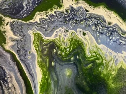 IRest Within My Inner Resource Of Ease