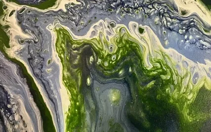 IRest Within Spacious Awareness