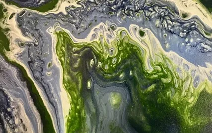 IRest Within The Felt Sense Of Emotions