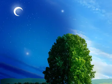 iRest Yoga Nidra For A Restful Nap