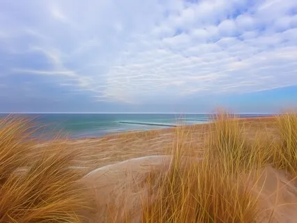 iRest Yoga Nidra for Healing Trauma