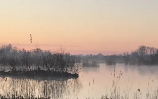 IRest Yoga Nidra - Resting In The Dance Of Life 