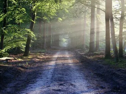 Is Enlightenment Possible?