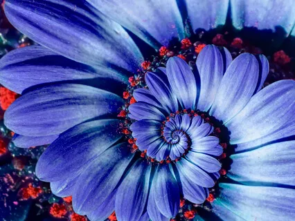 Is Everyone Somewhere Else?