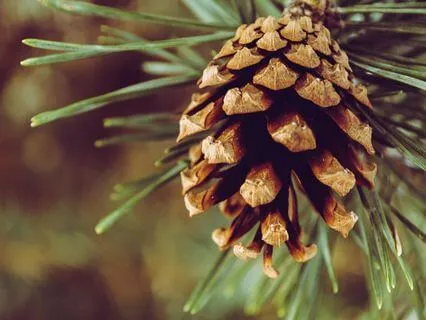 Is It Really A Problem? - Dec 23