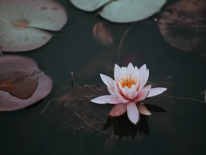 Is It Safe To Open To Experience? An Exploration Of Confidence And Faith