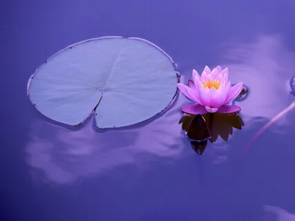 Is Sakshi Bhava (Awareness) Just A Thought Produced By The Mind?
