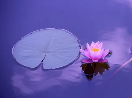 Is Seeing Everything Through The Eyes Of A Witness Called Pure Advaita?