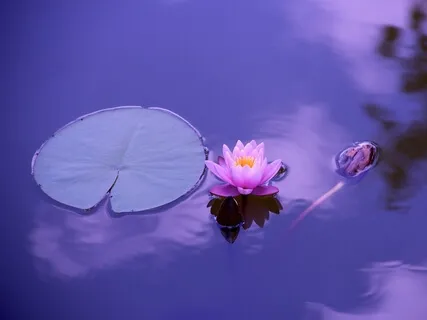 Is The Goal To Remain In The Knowingness At All Times?