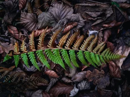 Is The World Divided Into 50% Good And 50% Bad