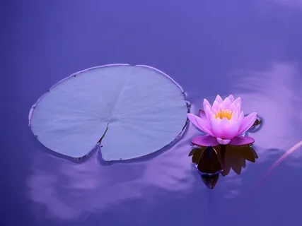 Is There Any Emotion Experienced In The Knowingness/Awareness?