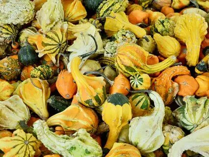 Is This Okay? Is This Enough?