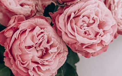 Is Your ‘About Me’ About You?