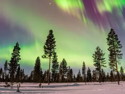 Is Your World A Hostile Environment?