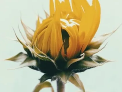 Isaiah 26:3 - I Am Safe, I Am Loved Guided Scripture Meditation