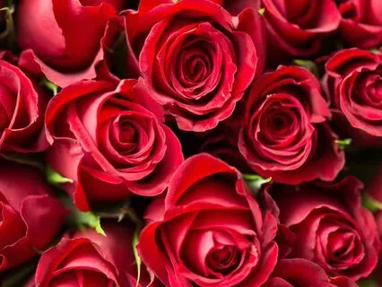 Isis And Osiris As A Model For Sacred Union