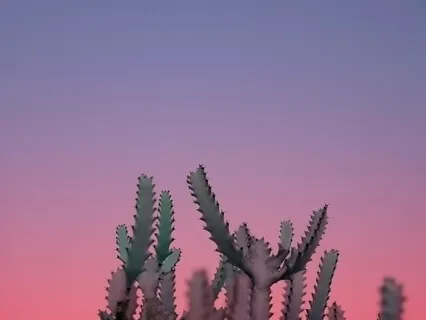 Искусство Заземления