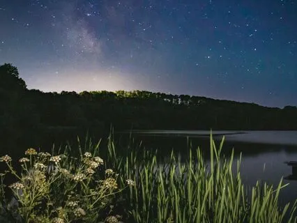 Island Of Chimes: Fall Asleep With Ease