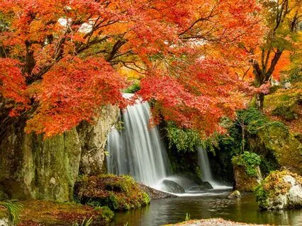 Island Of Dreams: A Bedtime Journey For Authentic Living